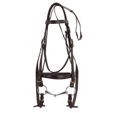 Bridle, draught horse