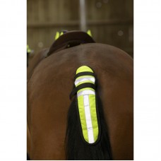 EQUITHÈME "High Visibility” halster