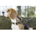 Hundehalsband -Beagle-